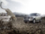 LR 4