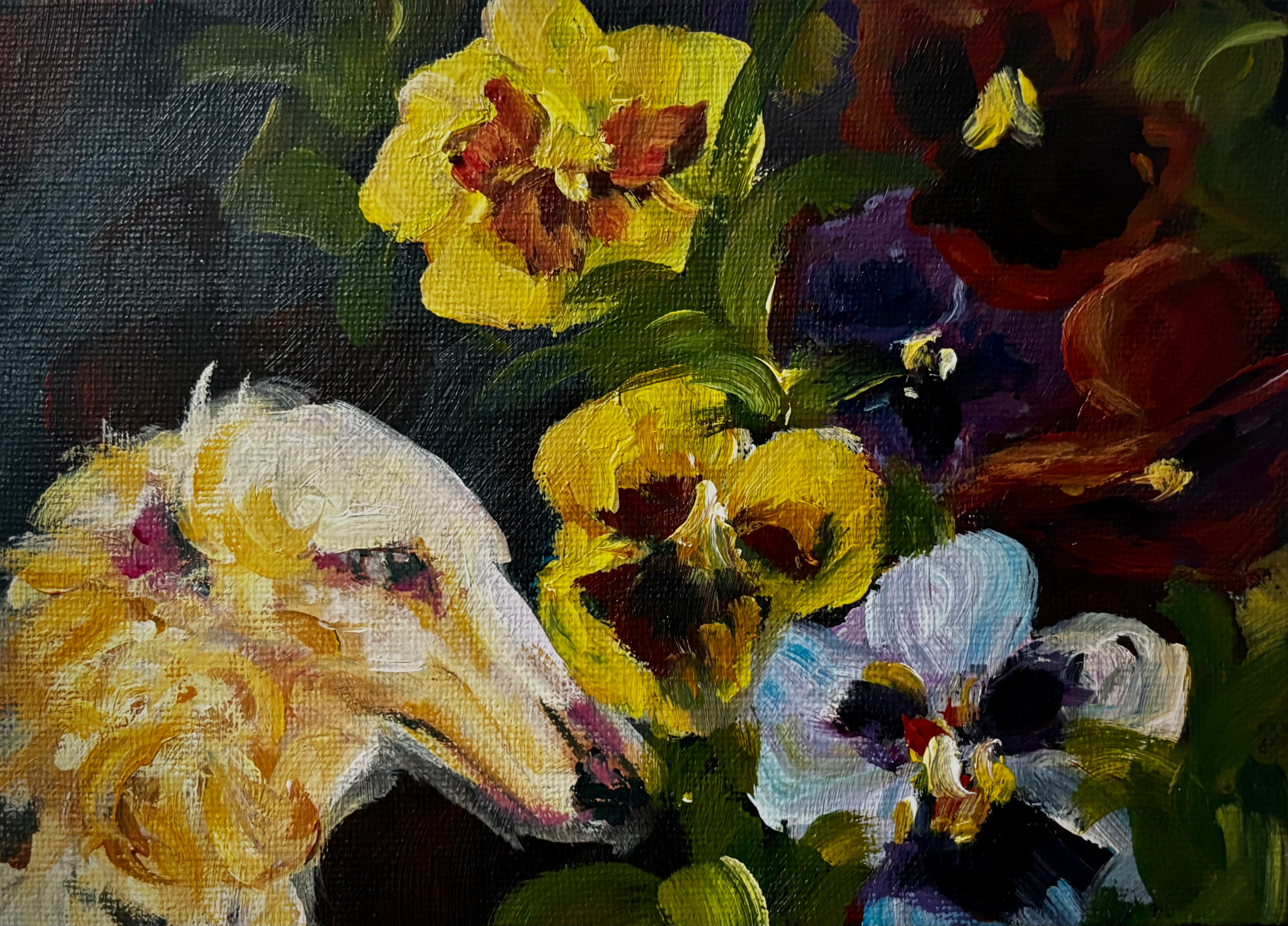 Bountiful Borzoi