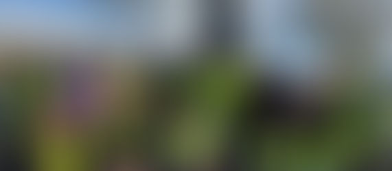 The Highs and Lows of saving a Food & Drink Festival from being Lost Forever!