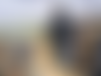 President Lincoln Showed Us The Way