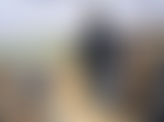 President Lincoln Showed Us The Way