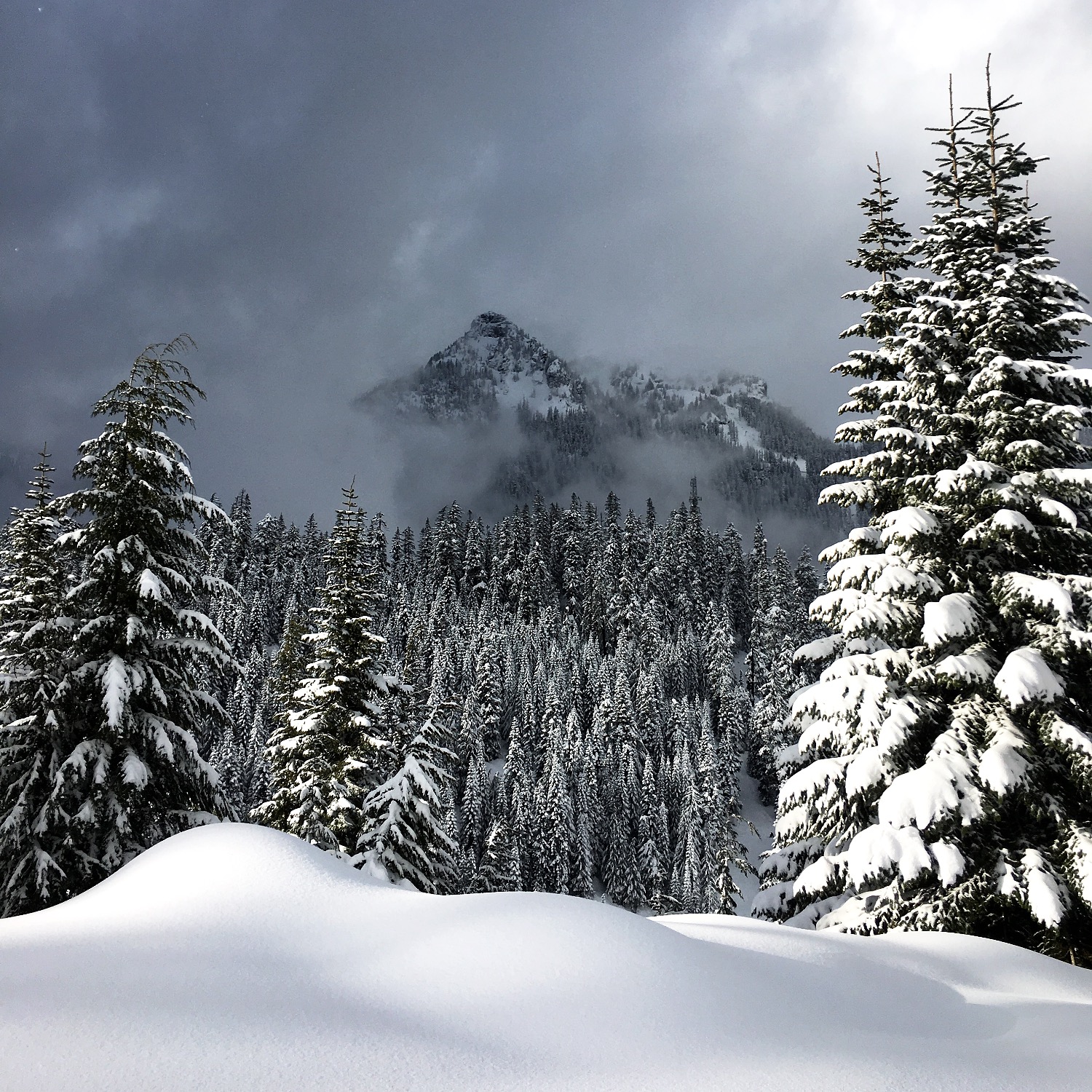 PNW Winter