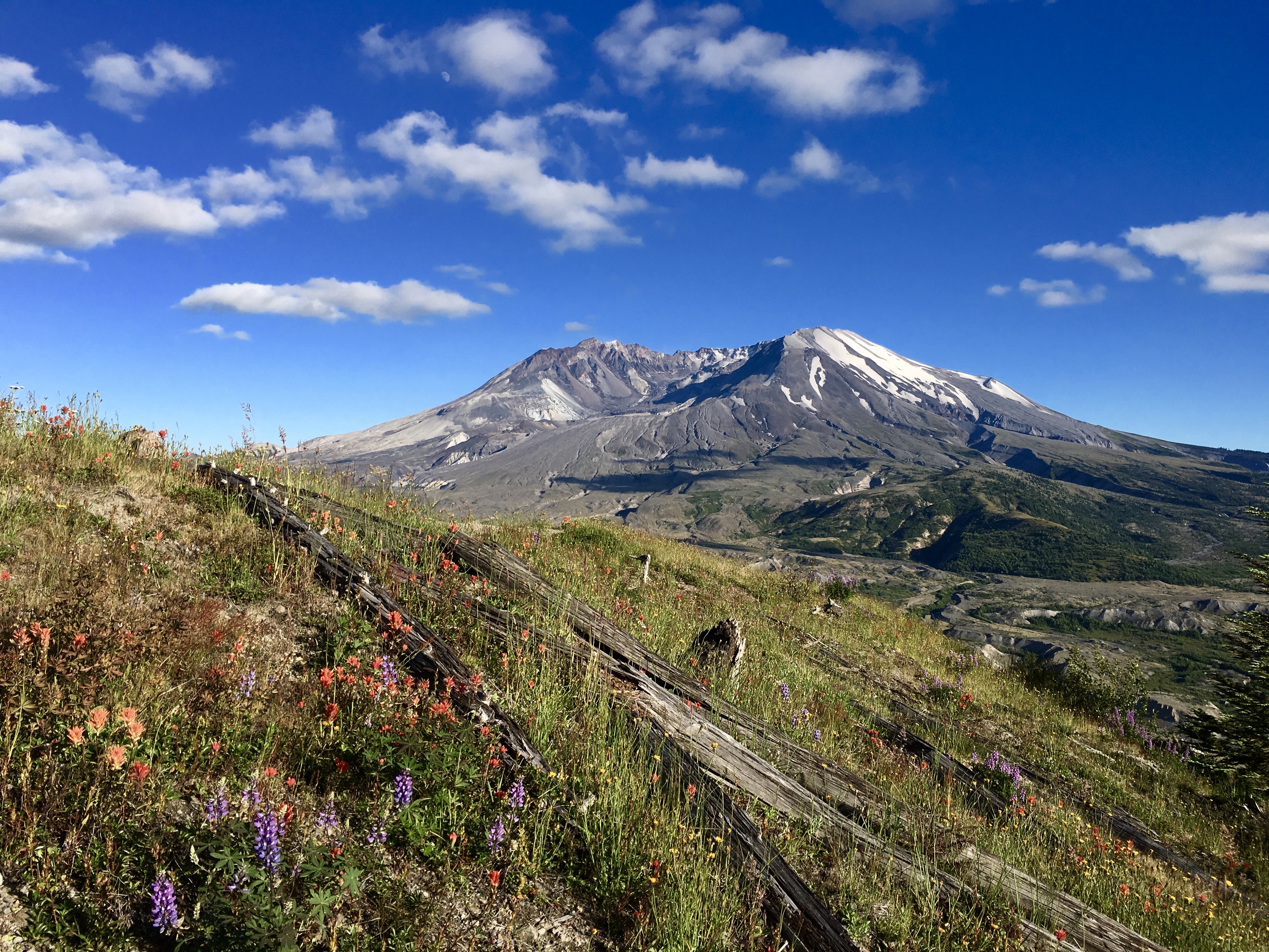 Mt. St. Helens