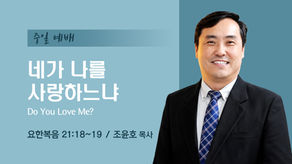네가 나를 사랑하느냐