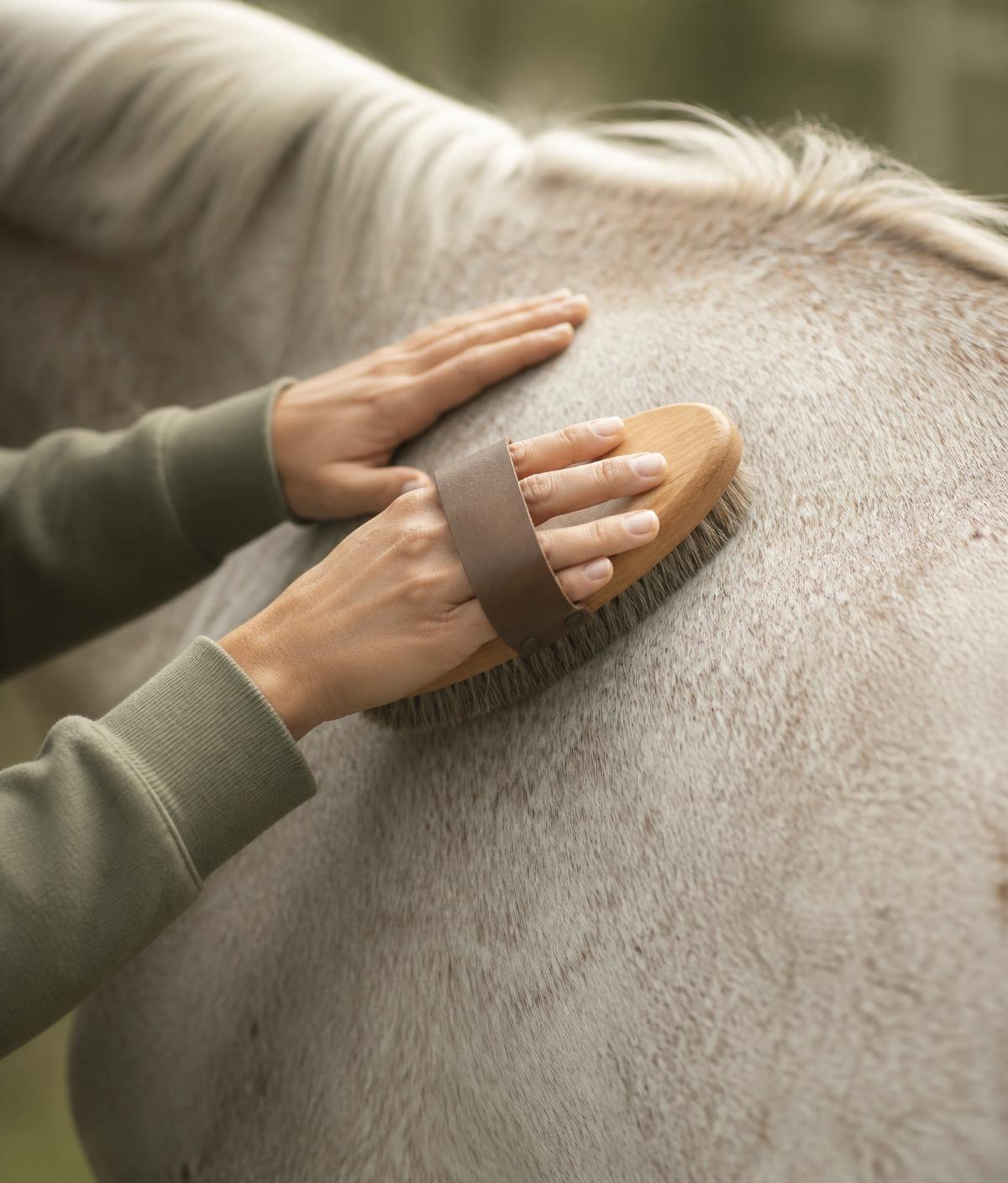 Hands gently brushing a horse’s shoulder