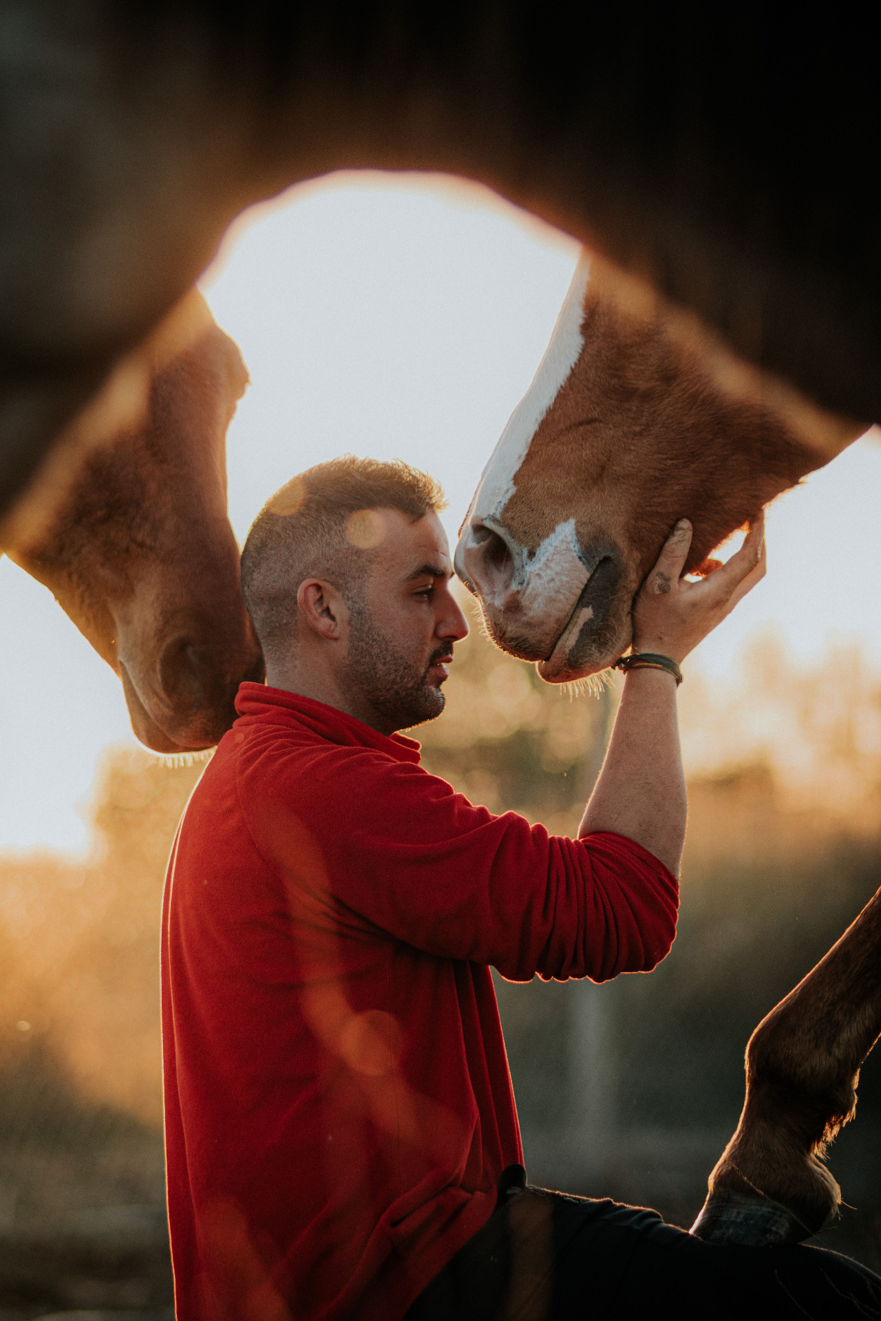 A person connecting with two horses at golden hour