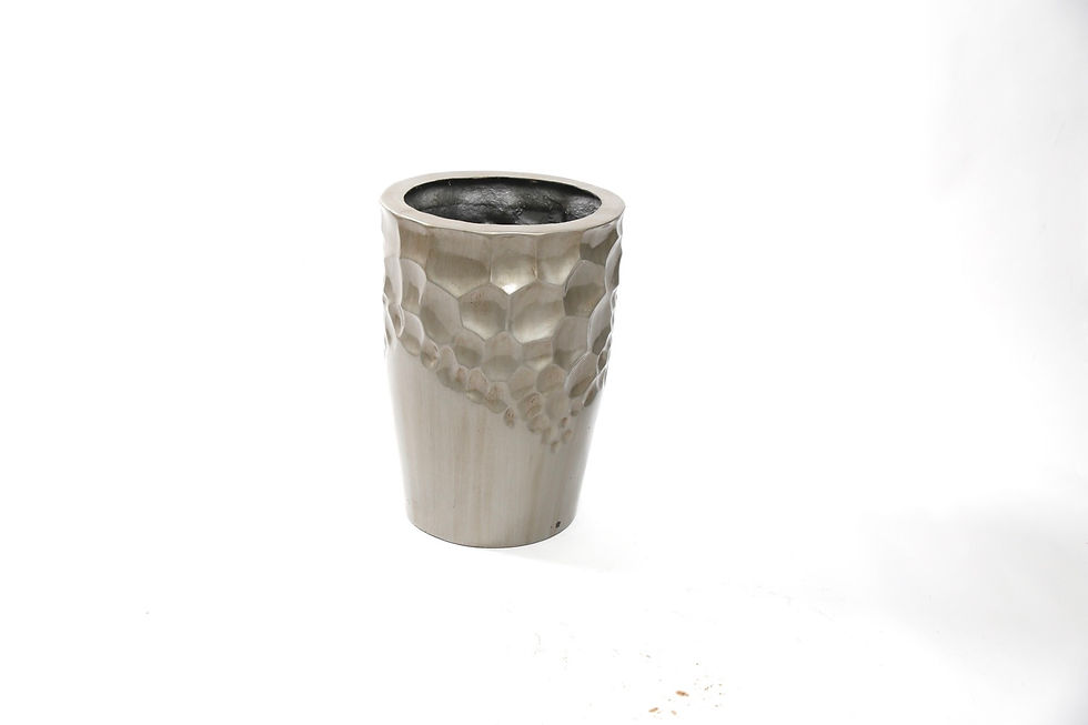 Miniatura: Joaquina Mediana 