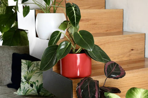 WhatsApp Image 2020-11-08 at 7.51.17 PM.jpeg