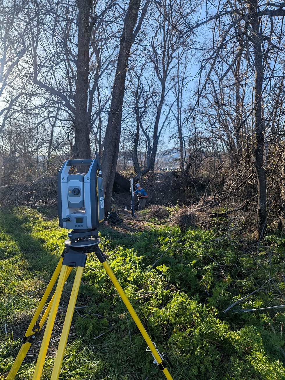 Total station survey