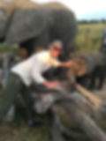 IMG_8847.jpeg