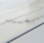 Liesl Rhinestone Tiara Hair Vine White