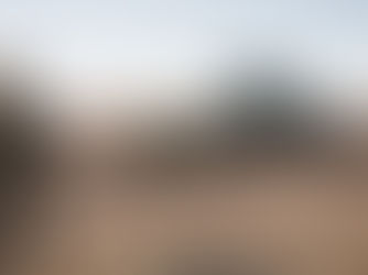 מלחמה על המזון: למה ישראל זקוקה לתשתיות אחסון והפצה חזקות