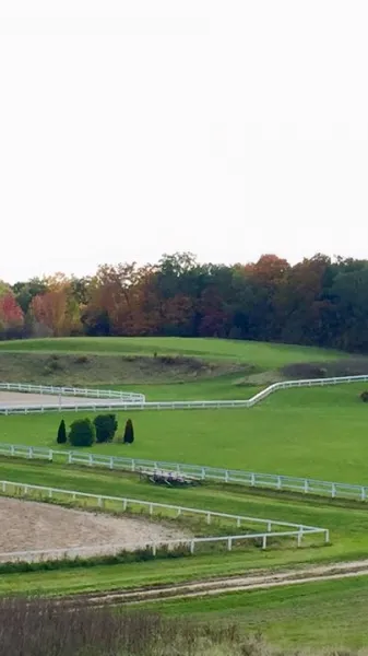 Lessons And Boarding Iron Horse