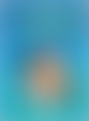 Top 3 Kids' Books to Cozy-Up with this Winter