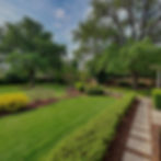 Landscape image of large backyard with trees bushes, shurbs, and pathways._edited.jpg