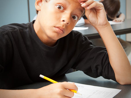 Finding the Right Fit: How One-to-One Instruction Supports 2e Students and Those with Anxiety