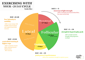 mobility & bodyweight strength.png