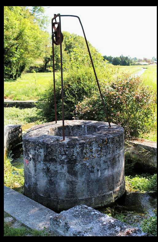 The WeLL (2).png