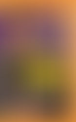 Rich Dad Poor Dad: A review