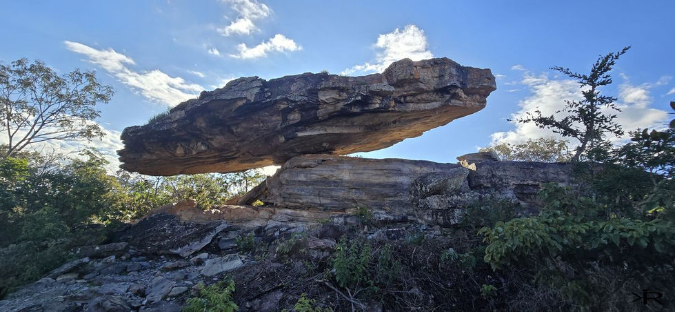 cristalina (2)-marca.jpg