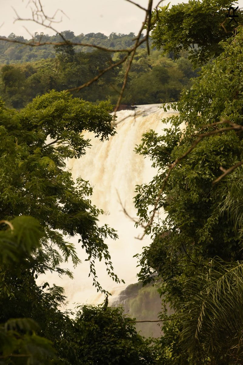 parque iguazu (1).JPG