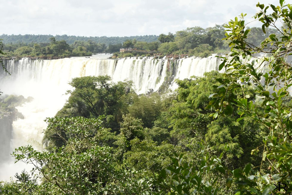 parque iguazu (6).JPG
