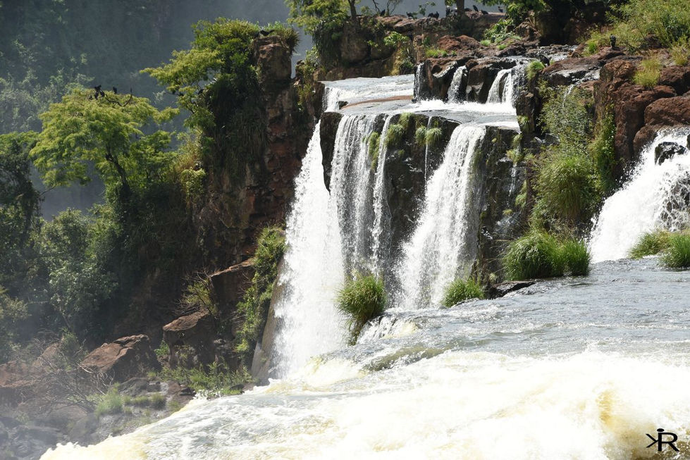 parque iguazu (23).JPG