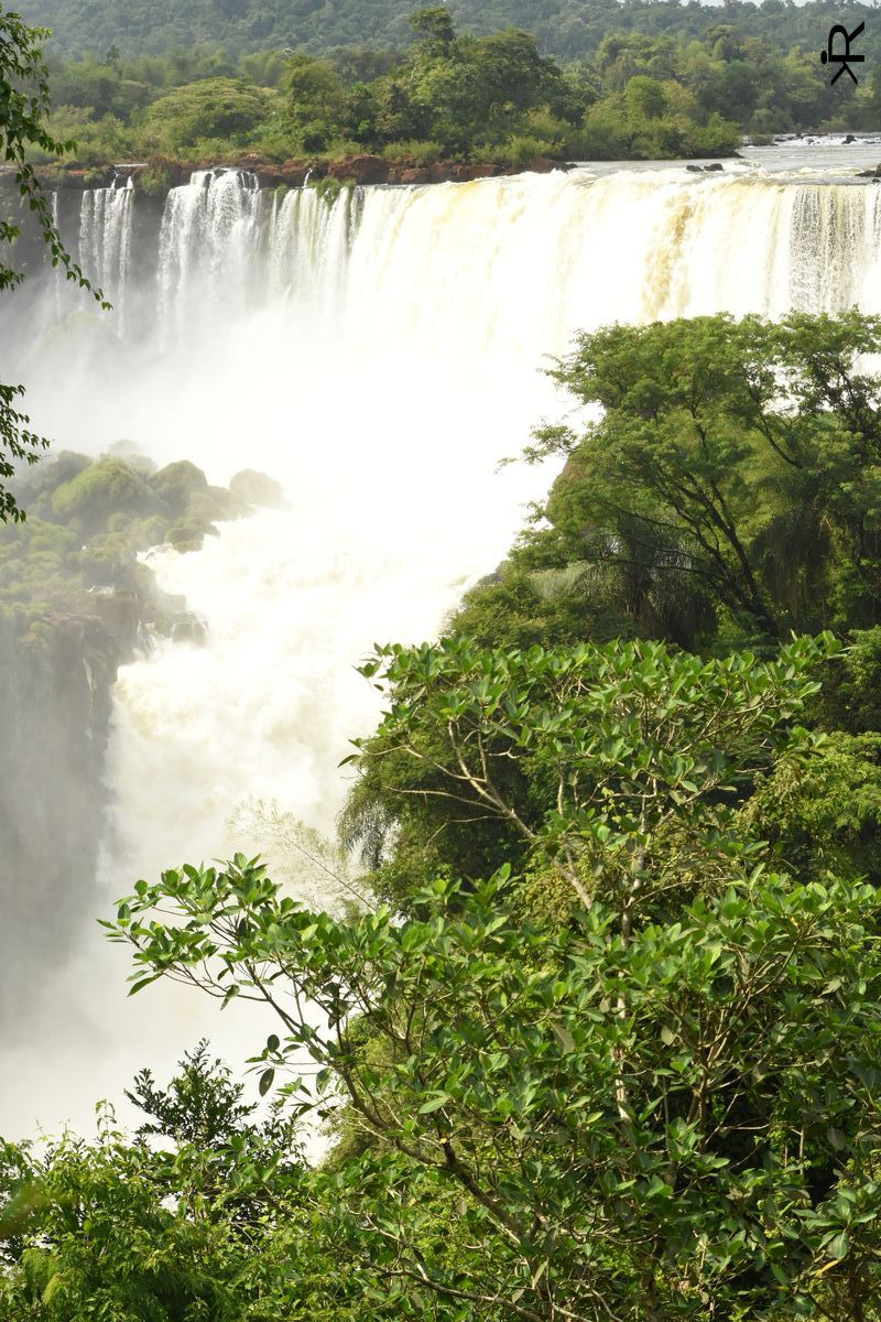 parque iguazu (5).JPG