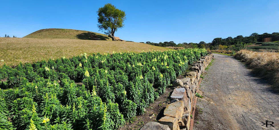 parque das Flores (15)-marca.jpg