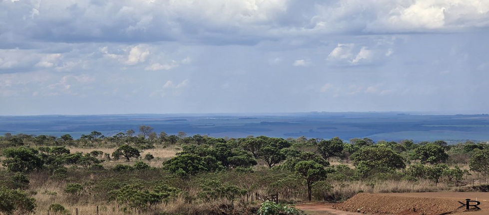 cristalina (3)-marca.jpg