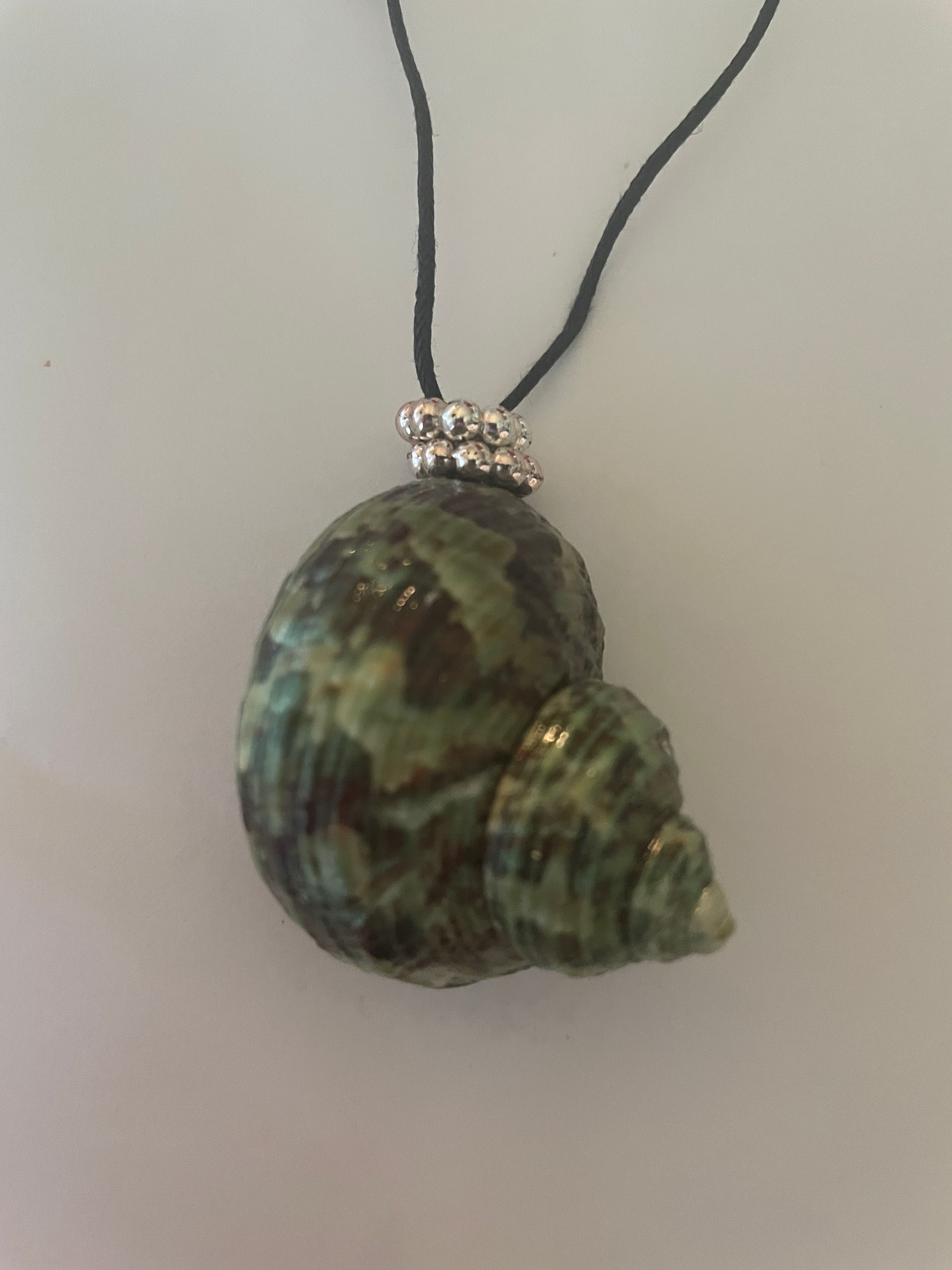 Helmet Seashell Necklace