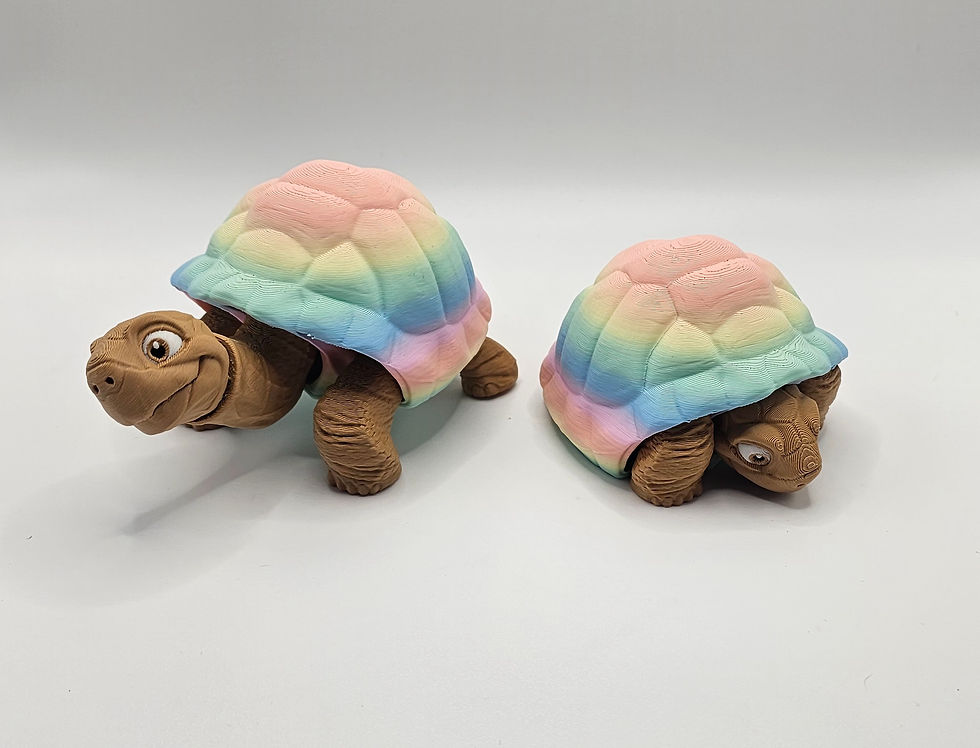 Thumbnail: Small tortoise 