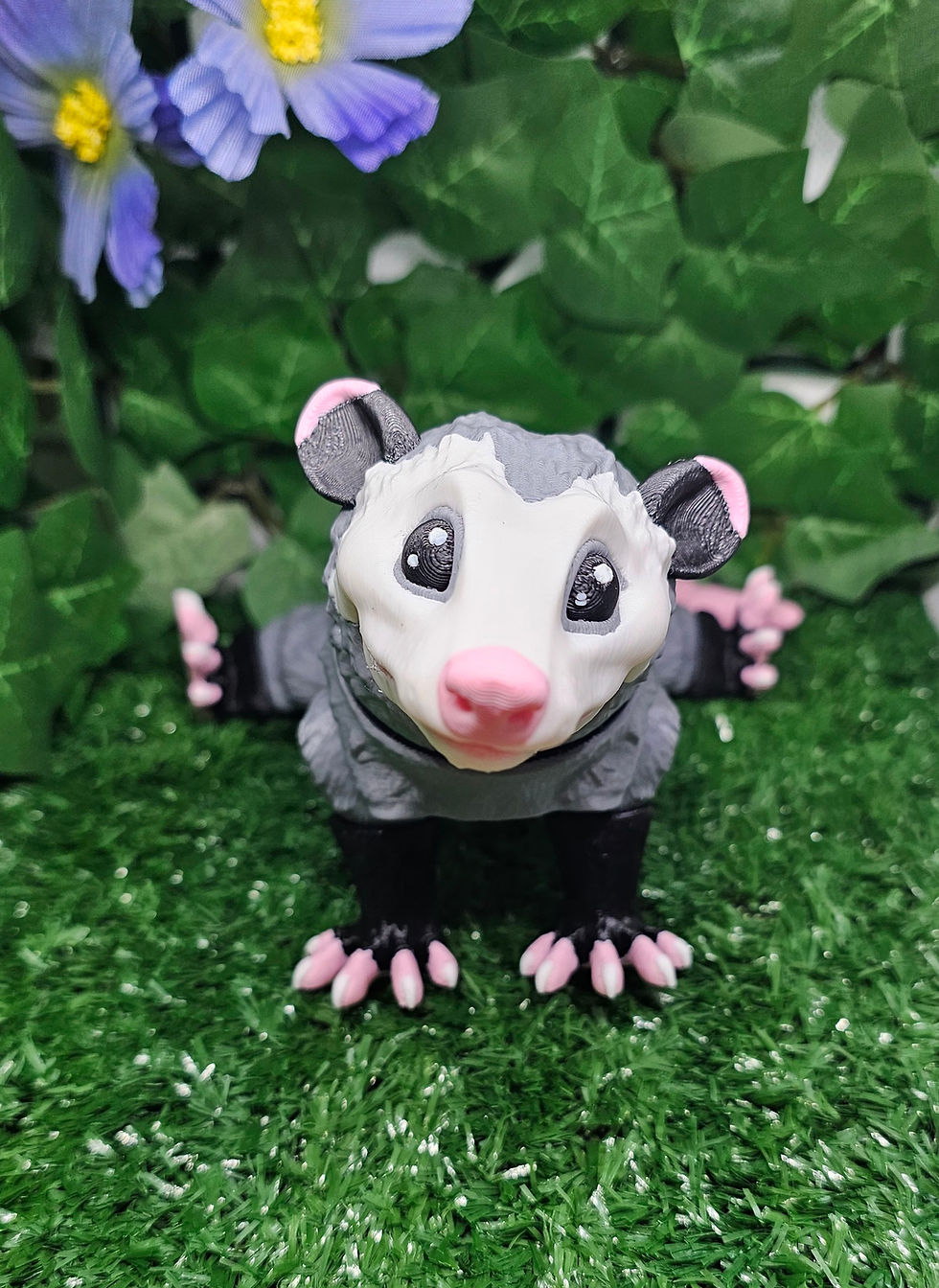 Possum 