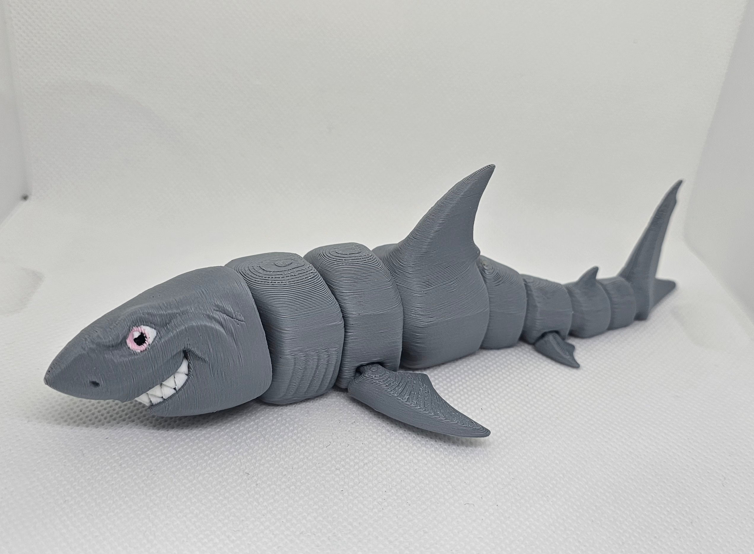 Small Shark 