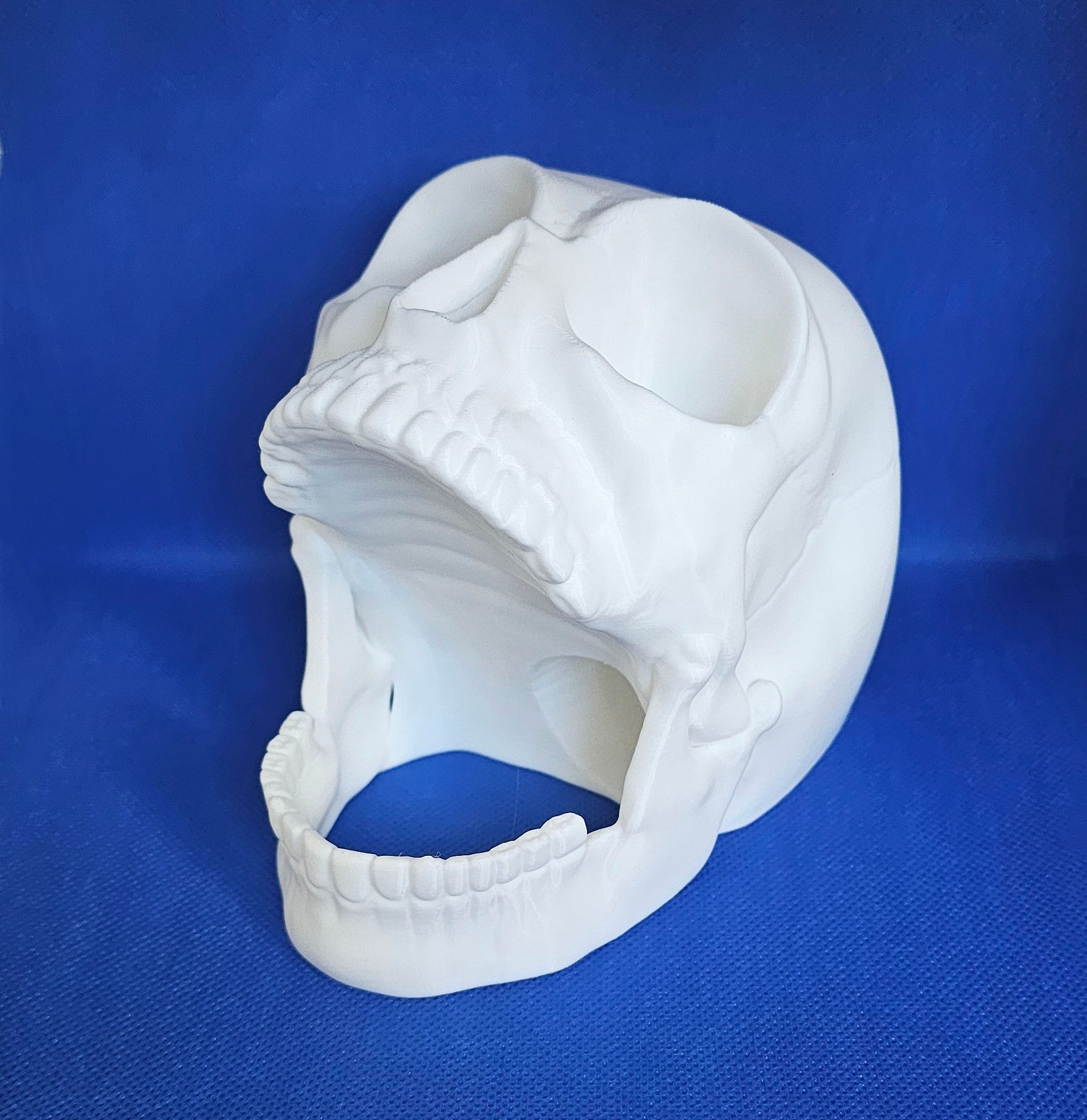 Skull dice tower 