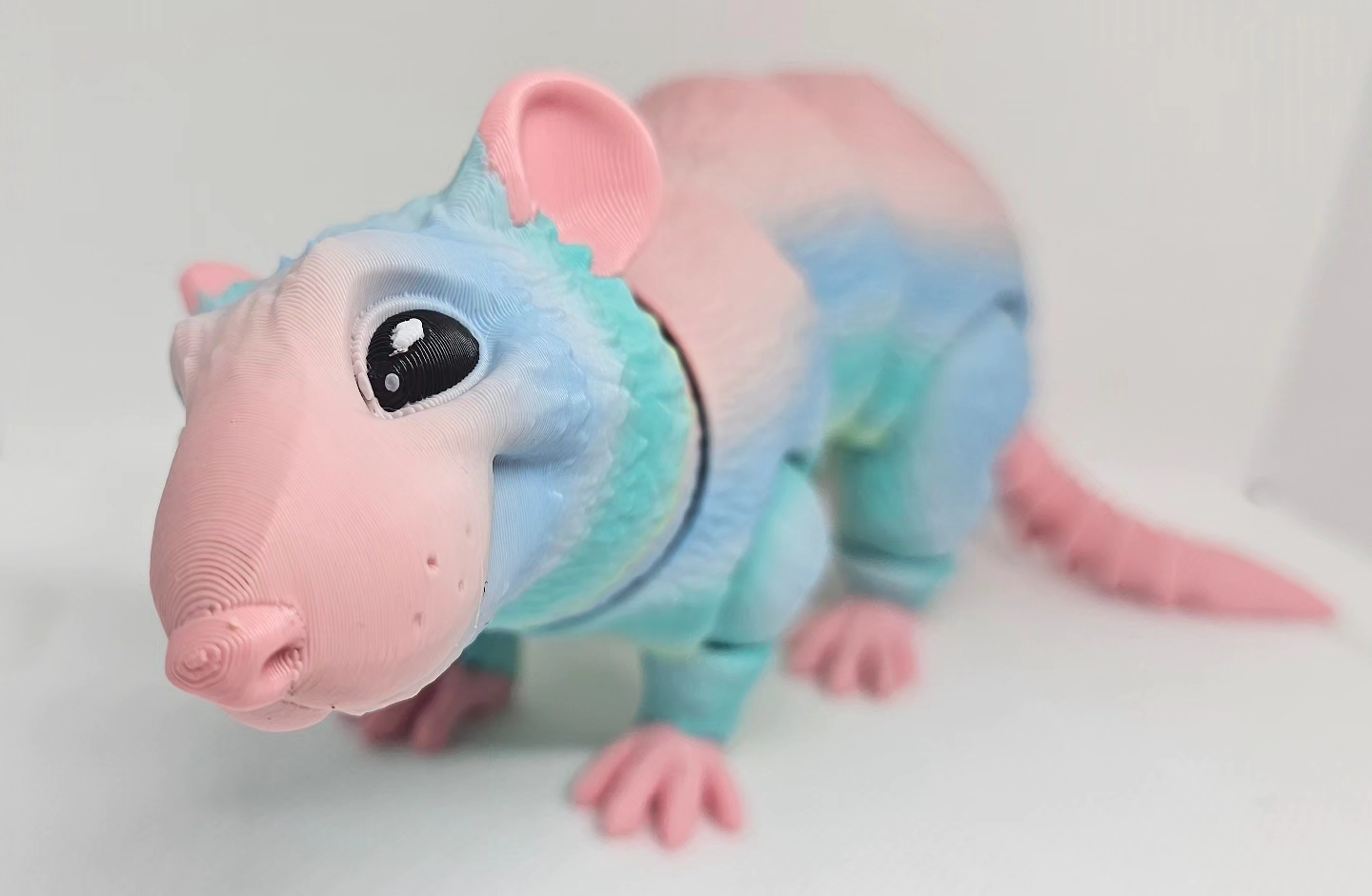 Large Rat