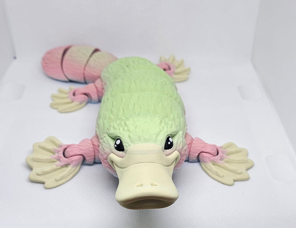 Thumbnail: Large platypus 