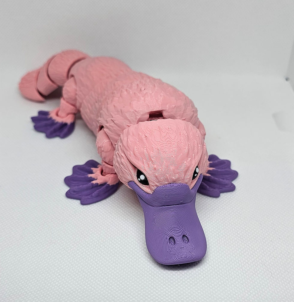 Thumbnail: Large platypus 