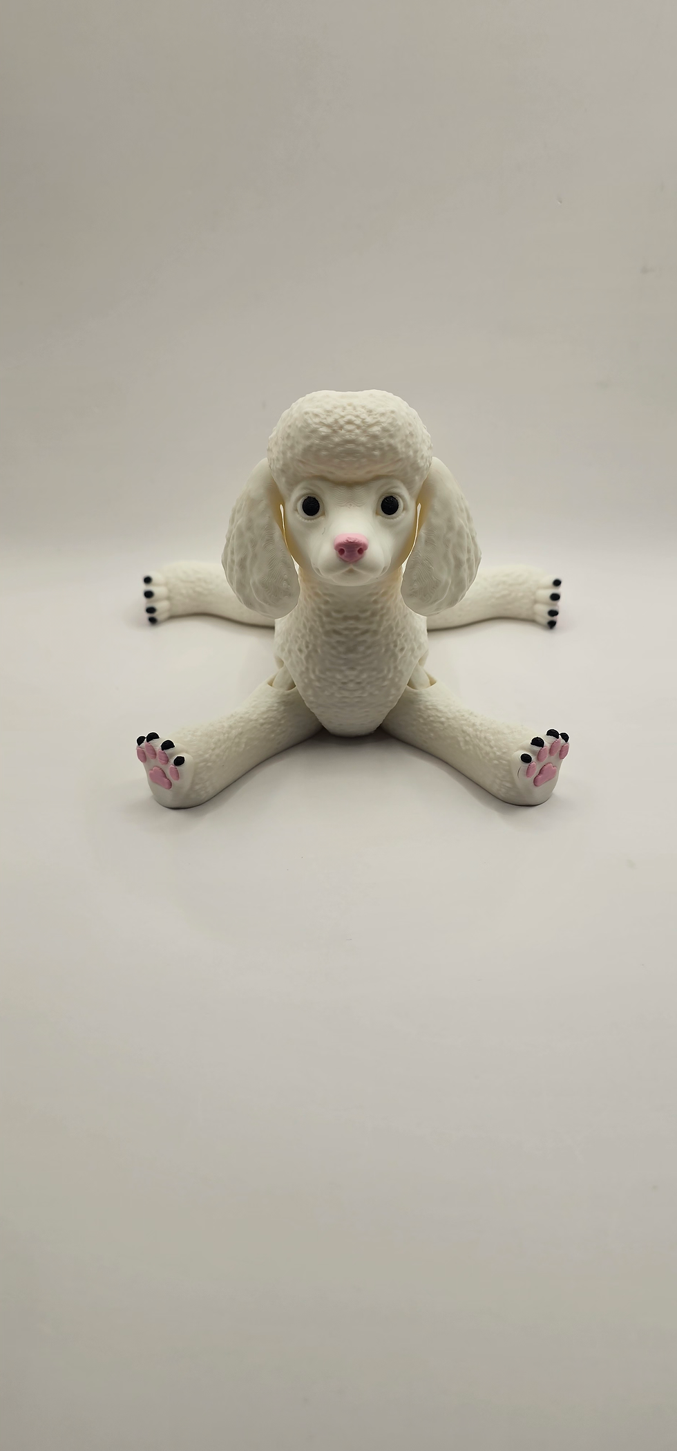 Thumbnail: Poodle 