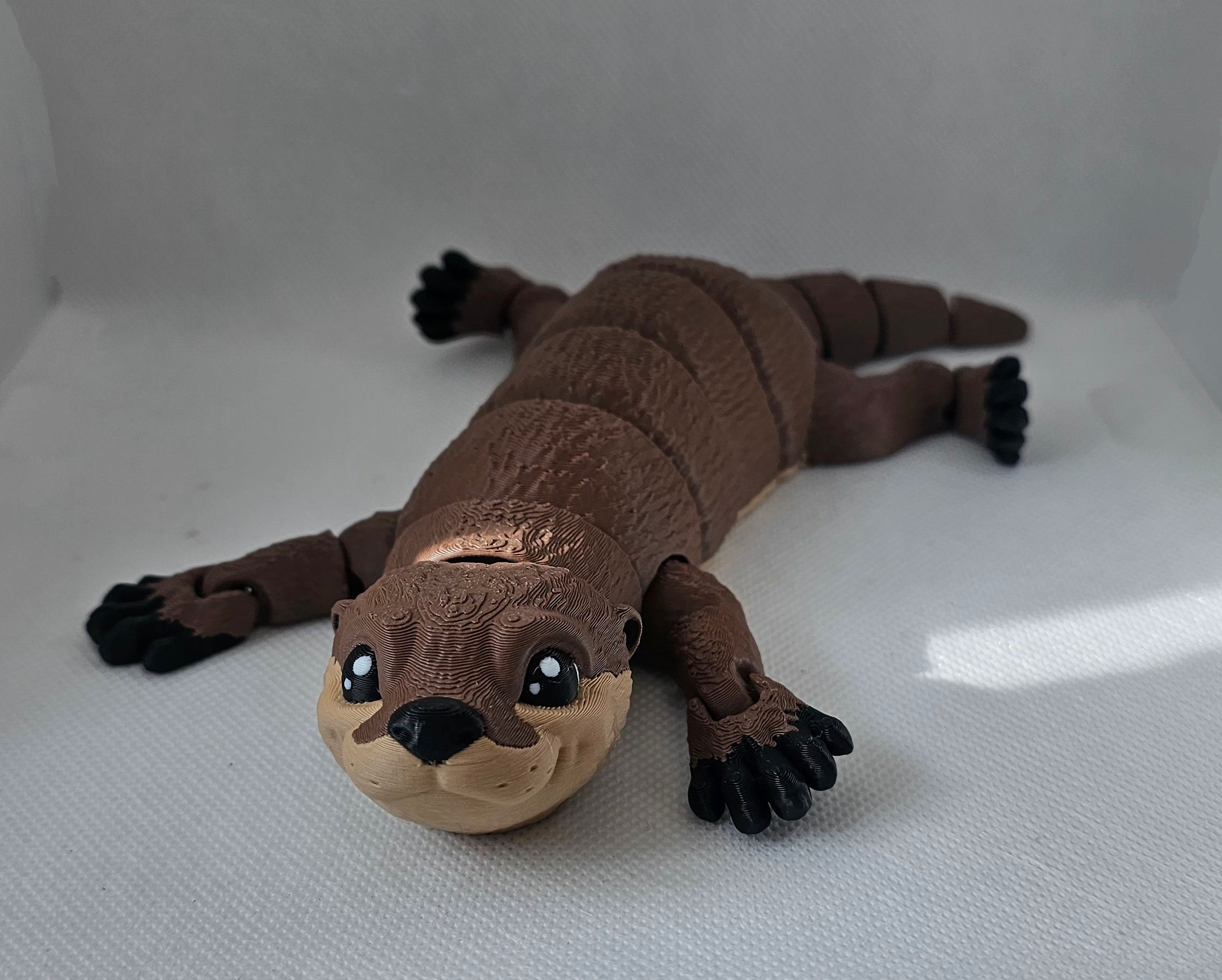 River otter 