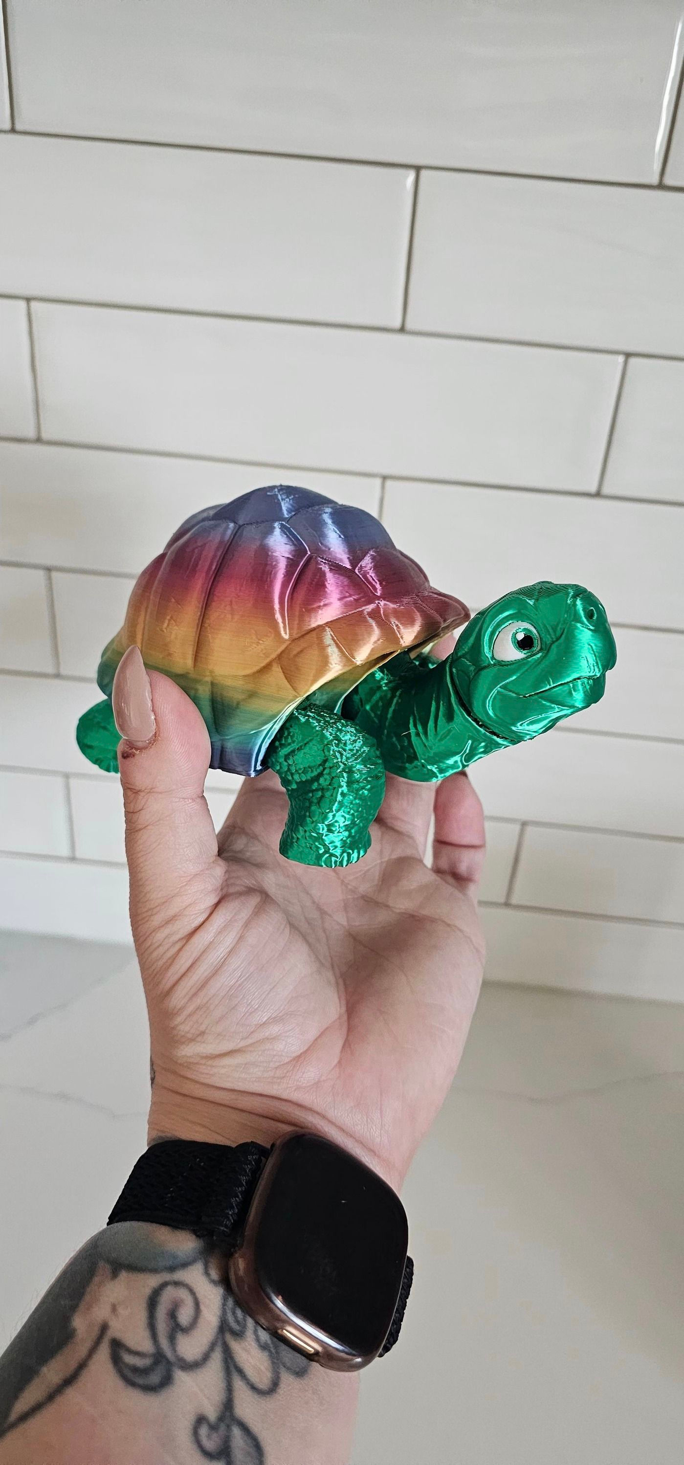 Large Tortoise 