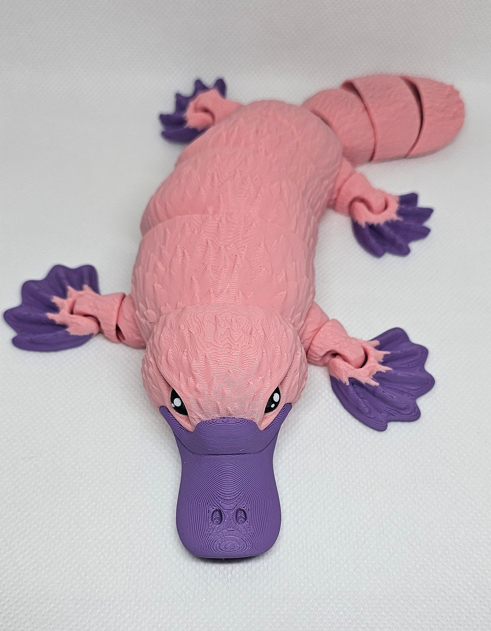 Thumbnail: Large platypus 