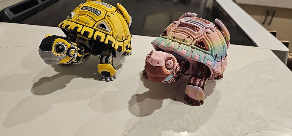 Thumbnail: Robo Tortoise!! 