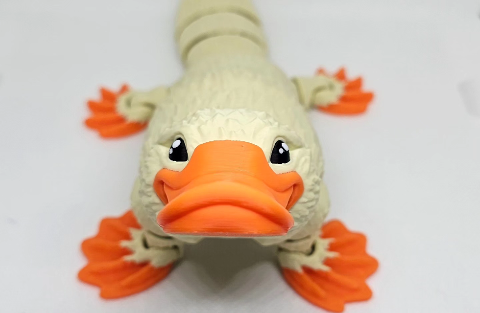Thumbnail: Large platypus 