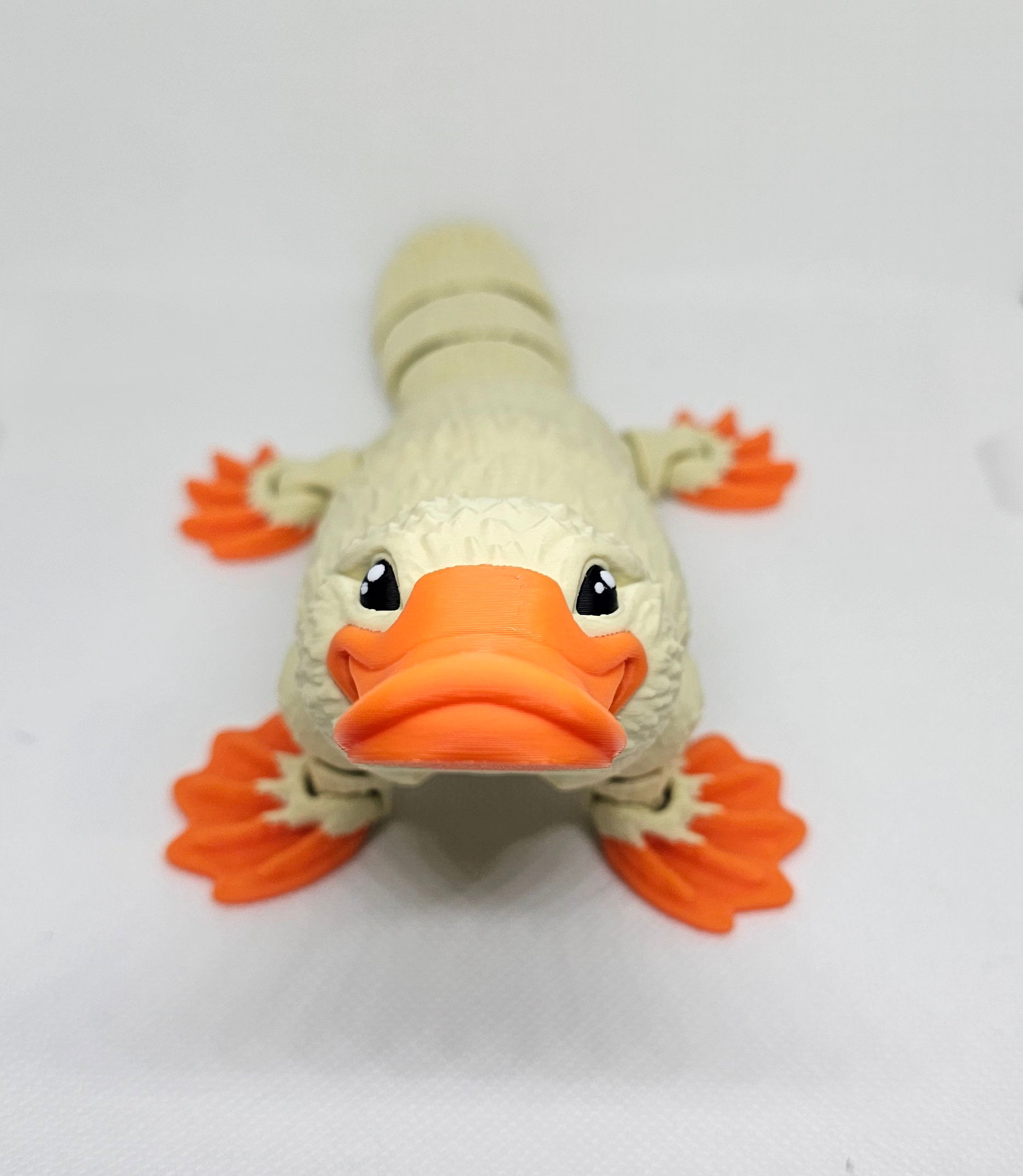 Large platypus 