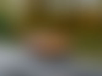 VinFast ký thỏa thuận với nhà phân phối đầu tiên tại Châu Phi