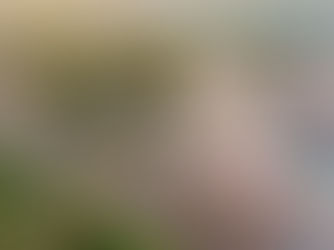 UNIQLO dự kiến khai trương Cửa hàng đầu tiên tại Đà Nẵng vào mùa hè 2026, mở rộng kinh doanh tại khu vực miền Trung Việt Nam