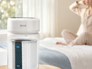 Levoit ra mắt Máy lọc không khí AI thế hệ mới - Levoit Eleva 300X