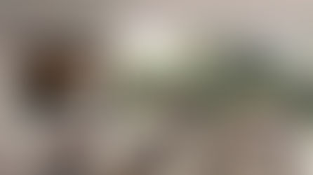 LG triển khai bảo hành 5 năm cho TV OLED, an tâm tận hưởng giải trí đỉnh cao
