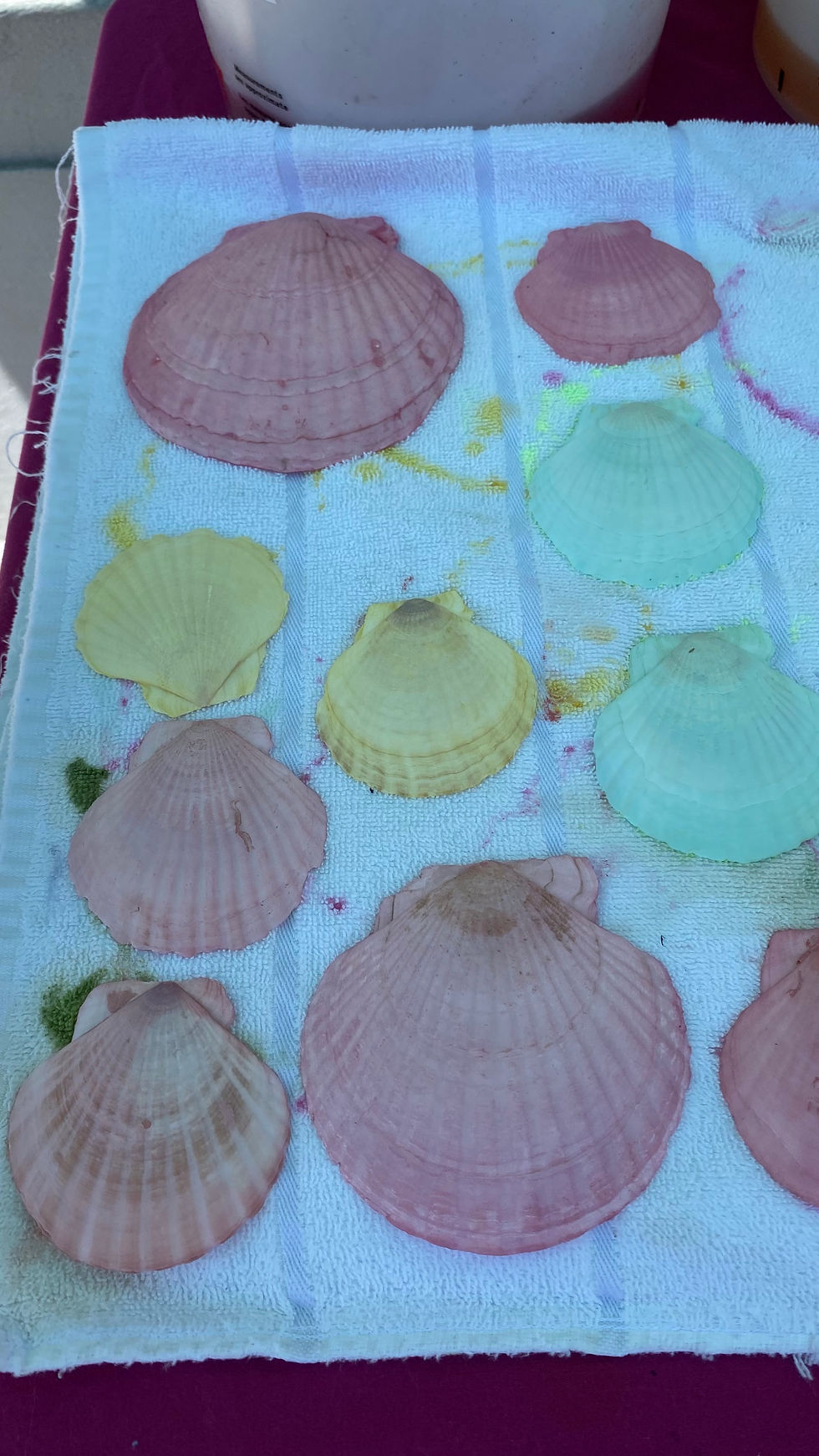 Thumbnail: dye seashells